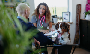 Panel weterynaryjny - zaproś do założenia konta w Virbac